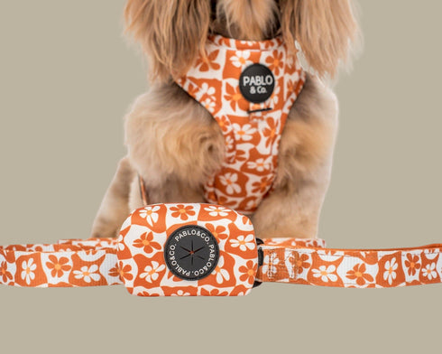 Pablo & Co. RETRO DAZIE Dog Poop Bag Holder